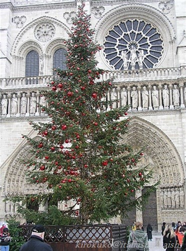10-1010240_t_GF.jpg