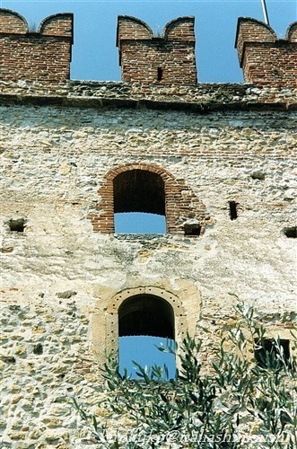 11-173420_t_t_GF.jpg