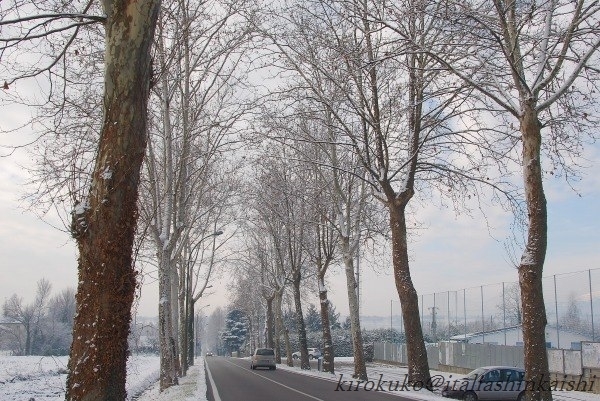 12-028_GF.jpg