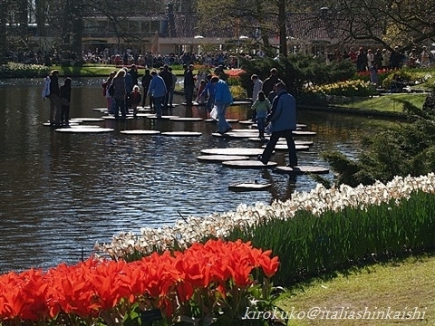 13-P4087672_t_GF.jpg