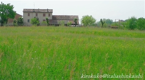 14-veneto226_t_GF.jpg