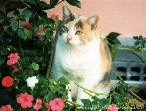 17-22207_t_t_GF.jpg