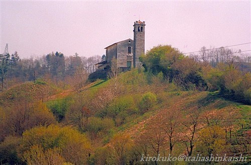 2-20060417222417_t_t_GF.jpg