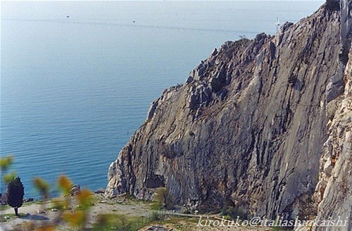 20060403002639_t_t_GF.jpg