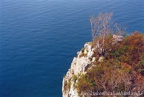20060403003311_t_t_GF.jpg