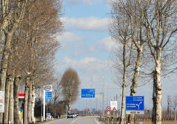 26-392_GF.jpg
