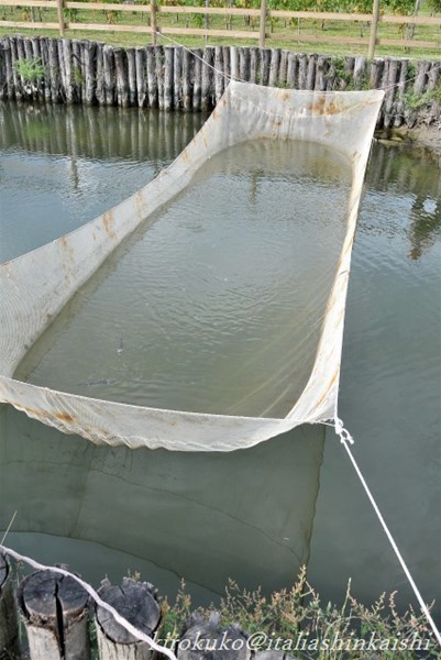 38-914_GF.jpg