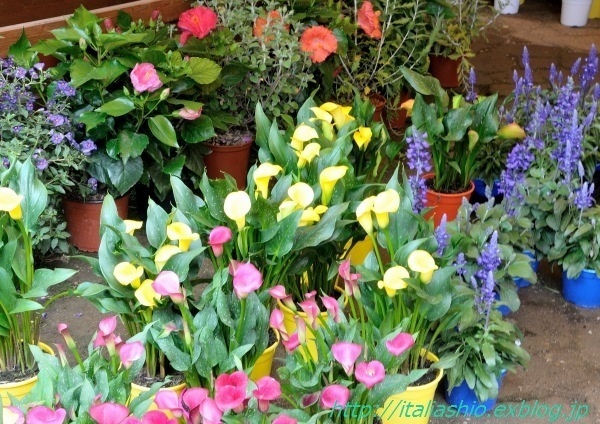 4-6531_01_GF.jpg