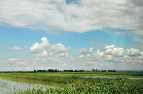 55-988_GF.jpg