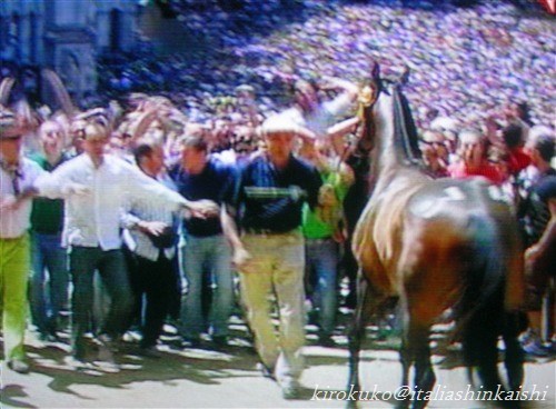 7siena.palio06.8.16163_t_GF.jpg