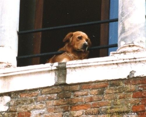 8-20051208024933_sh01_t_GF.jpg