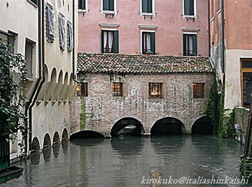 9-d0097427_641947_GF.jpg