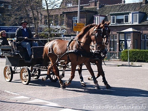 15馬車P4087905_t_GF.jpg