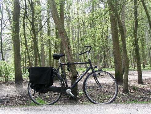 20自転車道P1010153_t_GF.jpg